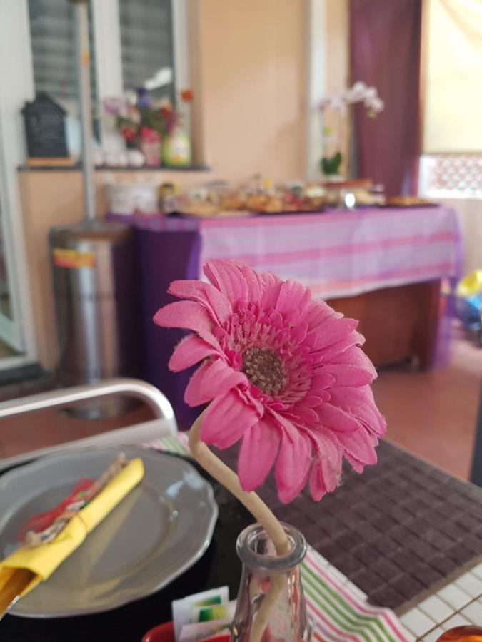皮特拉利古Ghiro Ghiotto住宿加早餐旅馆 外观 照片